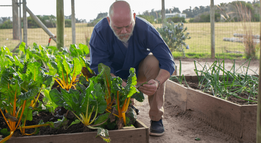 Agricultura