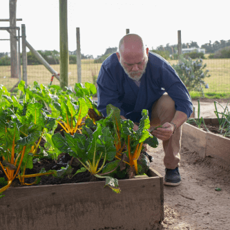 Agricultura